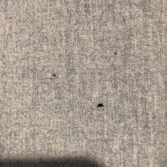 Vintage Pendleton Light Blue Wool Blazer - Picture 8 of 9